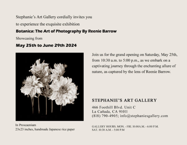 Stephanie's Art Gallery And Custom Picture Framing, Contemporary Art